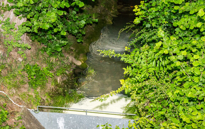 Farbe im Bach? - Bild 18_13