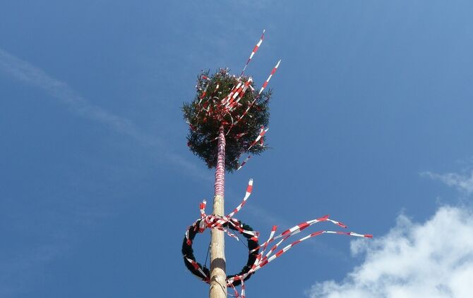 Maibaum
