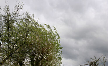 Wind Sturm Wetter Symbolfoto