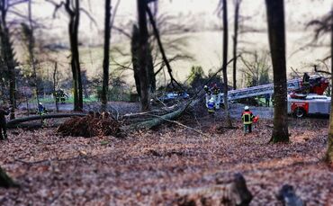 Baum reißt einen weiteren mit und stürzt auf geparkte Autos - Feuerwehr muss Bäume zersägen