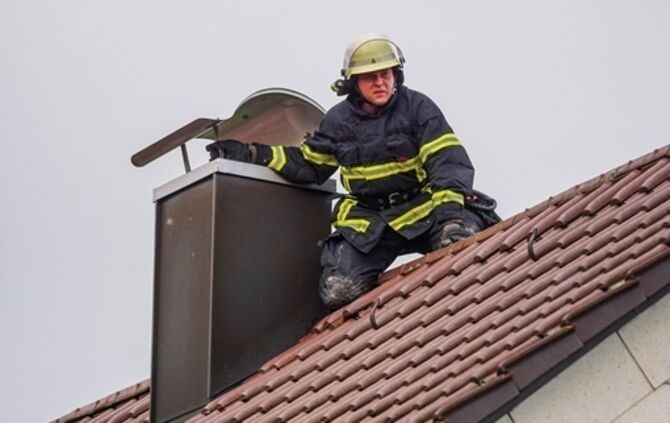 Goeppingen: Waschbaer loest Feuerwehreinsatz aus