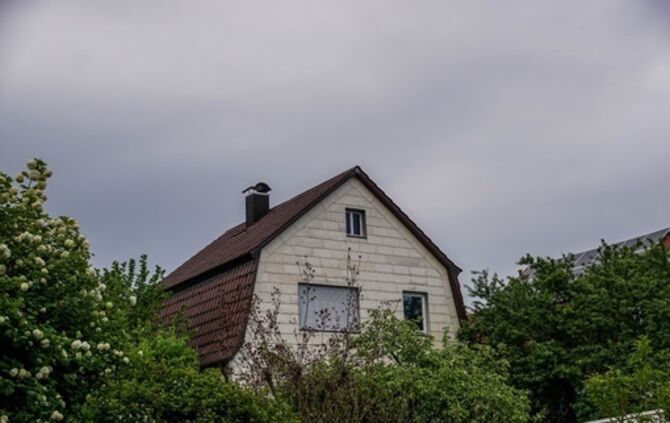 Goeppingen: Waschbaer loest Feuerwehreinsatz aus