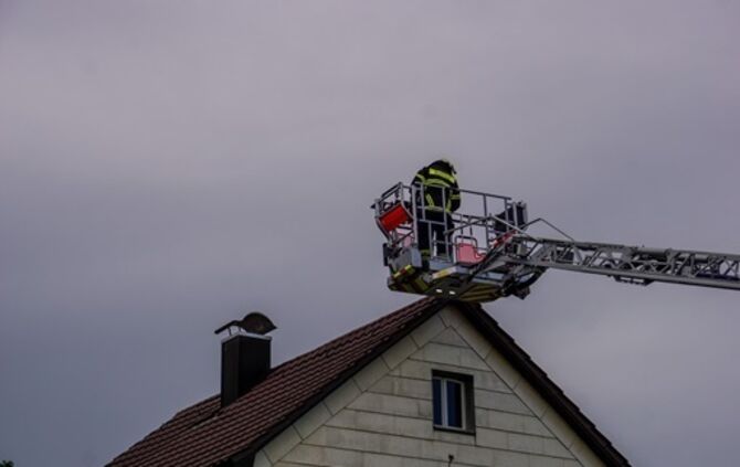 Goeppingen: Waschbaer loest Feuerwehreinsatz aus