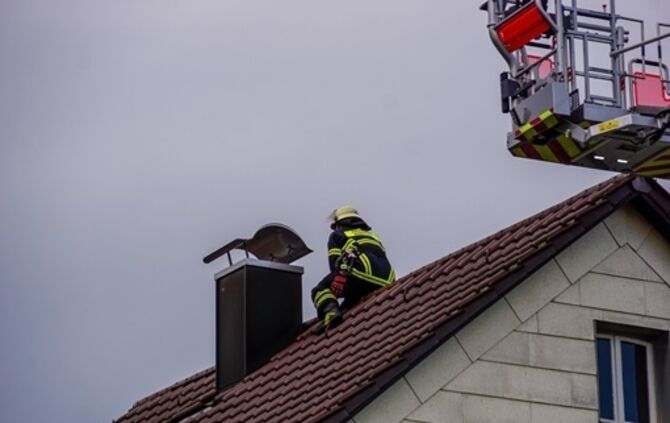 Goeppingen: Waschbaer loest Feuerwehreinsatz aus