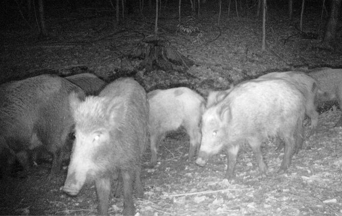 304f8be7-b109-4d99-a1b1-b1dd785ae53f.jpg_2