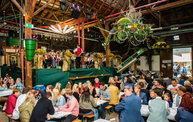 Strümpfelbacher Kelterfest - Bild 33_0