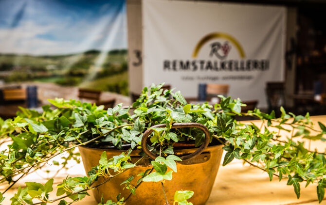 Strümpfelbacher Kelterfest - Bild 09_9