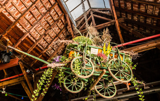 Strümpfelbacher Kelterfest - Bild 36_35