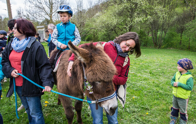 Wanderung mit Eseln - Bild 01_0