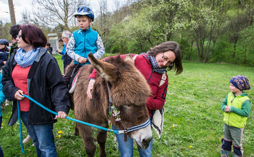 Wanderung mit Eseln - Bild 01_0