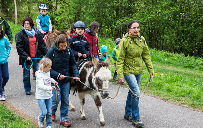 Wanderung mit Eseln - Bild 03_2