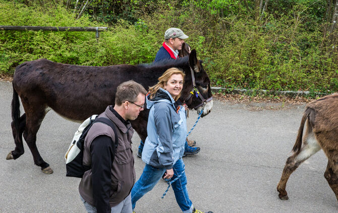 Wanderung mit Eseln - Bild 31_20