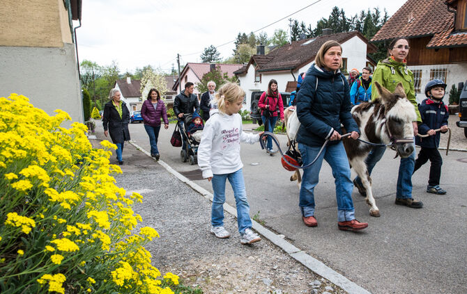 Wanderung mit Eseln - Bild 25_26