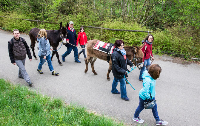 Wanderung mit Eseln - Bild 20_30