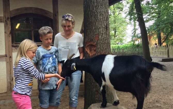 8be79b1d-6c7e-4987-bc3a-bd7579c295cd.jpg_3