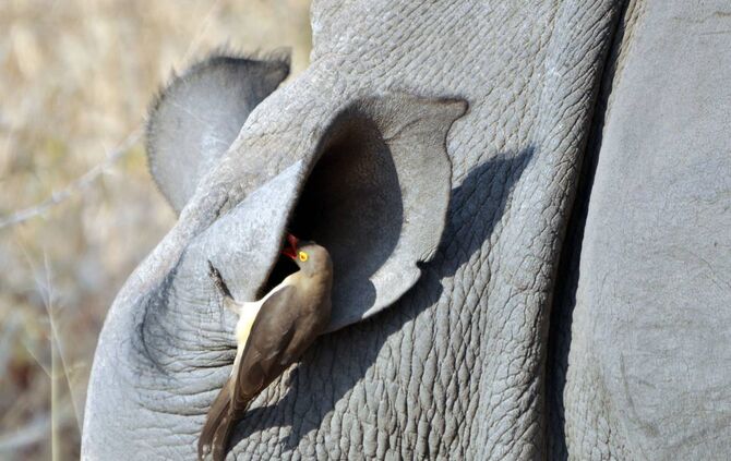 4374e7f5-14a6-43aa-8059-399f0f17d952.jpg_2