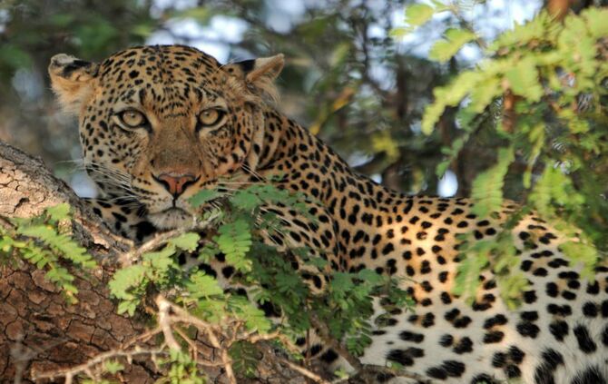 5e7e6e71-eaaa-48b3-9bf4-f980dc416a05.jpg_3