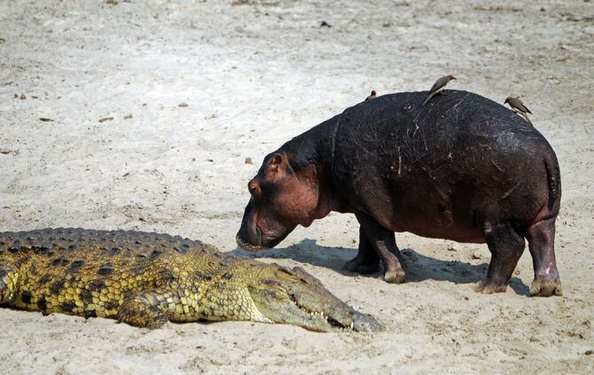 Tanzania_2015_groß_1_2068_b_7