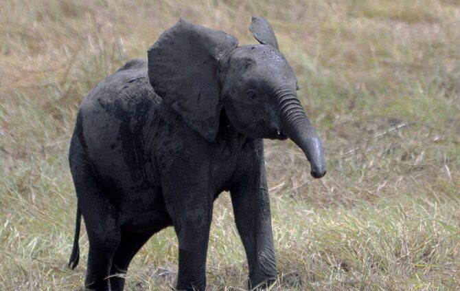 Tanzania_2015_groß_1_1836_b_8