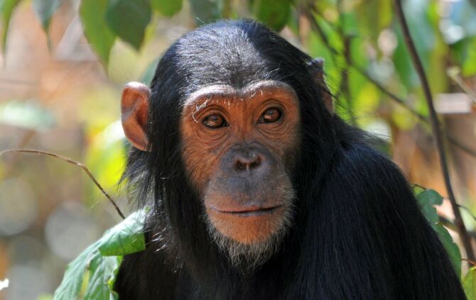 Tanzania_2015_groß_1_884_bb_9