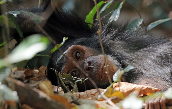 Tanzania_2015_groß_1_798_b_10