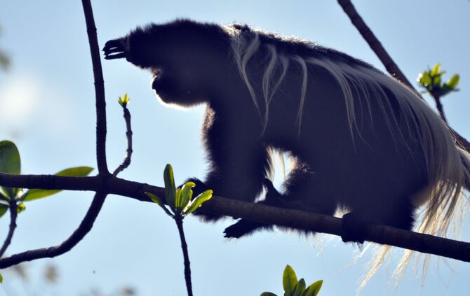 Tanzania_2013___-2-_069_b_13