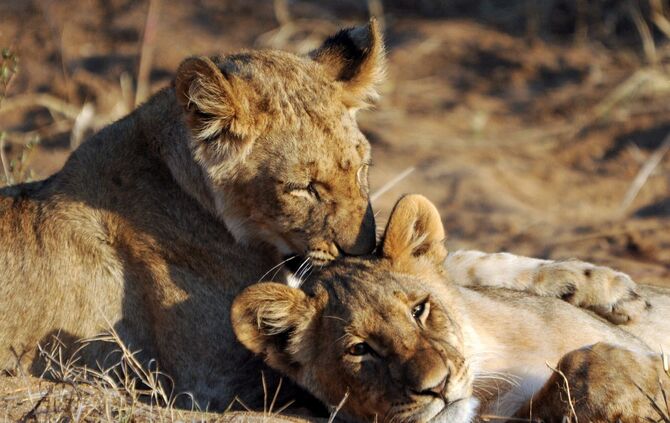 Südafrika_2016_zweiter_Teil_1046_bb_14