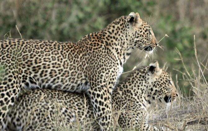 Südafrika_2016_1855_bb_15