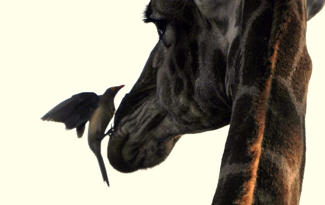 Südafrika_2016_222_b_18