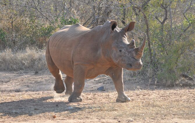 Südafrika_2011_zwei_970_21