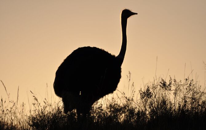 Südafrika_2011_eins_837_25