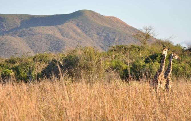 Südafrika_2011_eins_551_27
