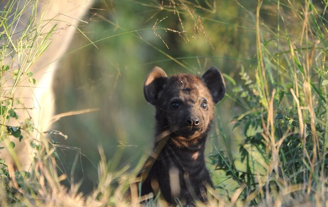 SA_Ostern_2014_1673_30