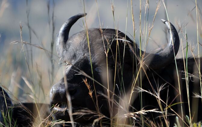 SA_Ostern_2014_1552_a_31