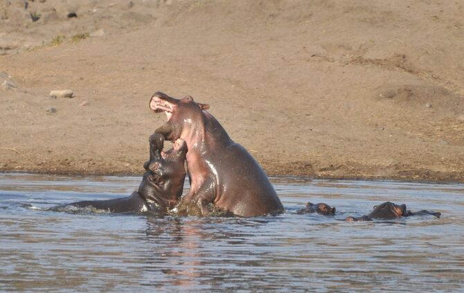 SA_2012__zwei_1224_41