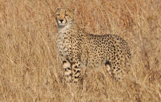 SA_2012__zwei_966_-_Kopie_42