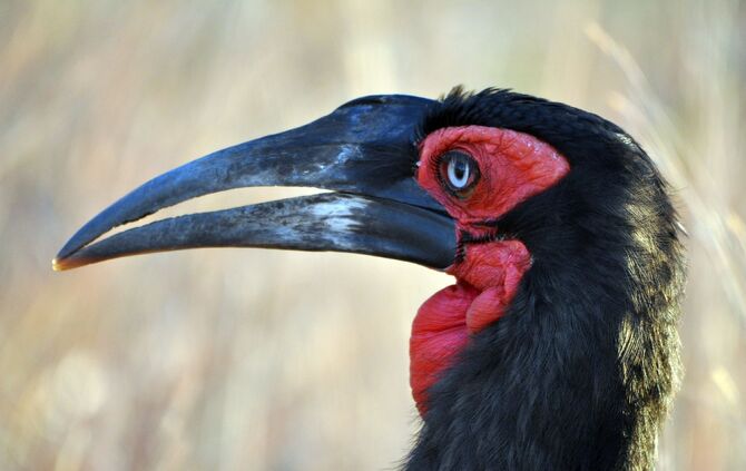 SA_2012__zwei_769b_43