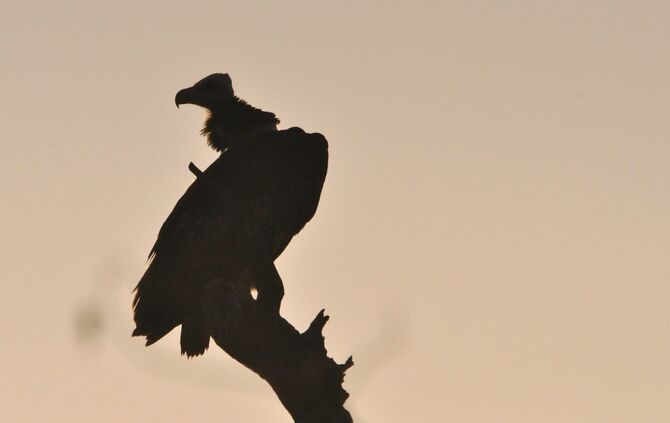 SA_2012__zwei_695_44