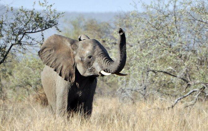 SA_2012__zwei_432b_45