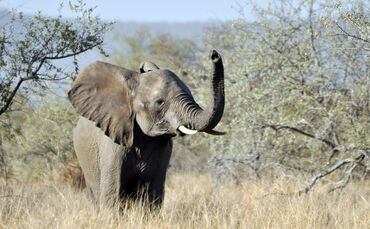 SA_2012__zwei_432b_45