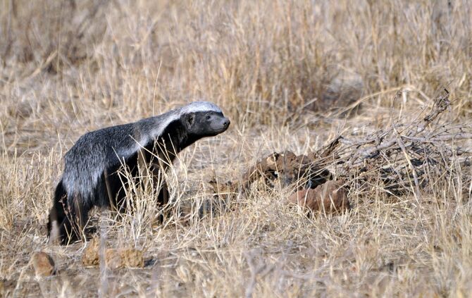 SA_2012__zwei_356b_46