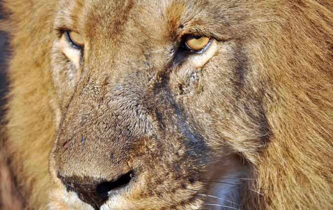 SA_2012__drei_718b_47