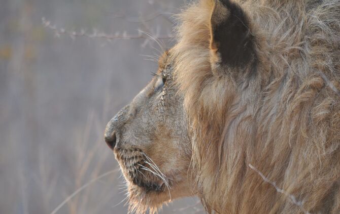 SA_2012__drei_688_48