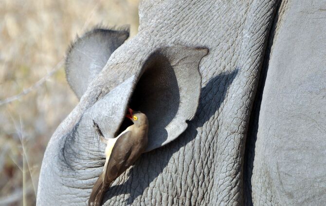 SA_2012__drei_640b_49