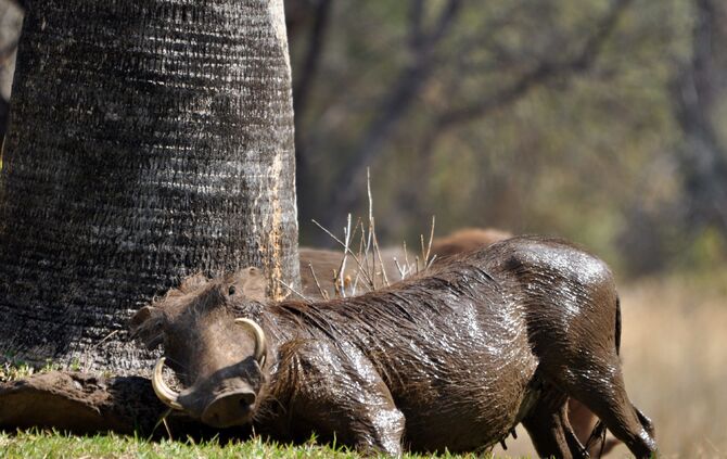 SA_2012__drei_537b_50