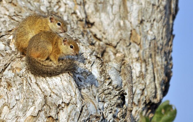 SA_2012__drei_049b_55