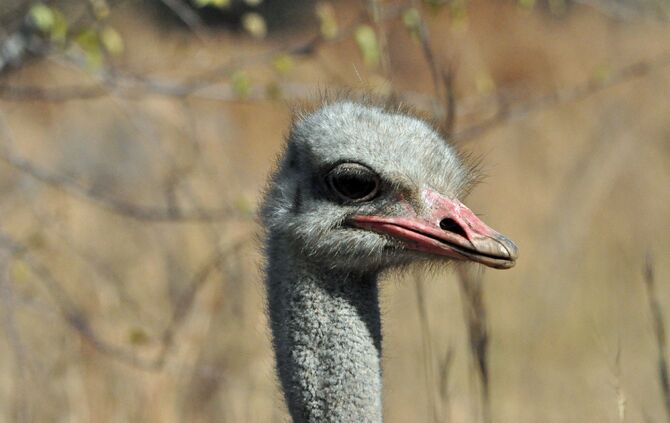 SA_2012__-1-_145_bearbeitet_1_58