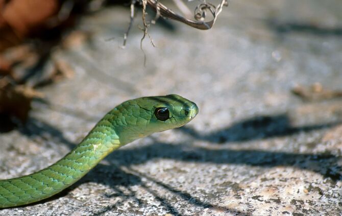 Afrika_Austellungsbilder.039_60