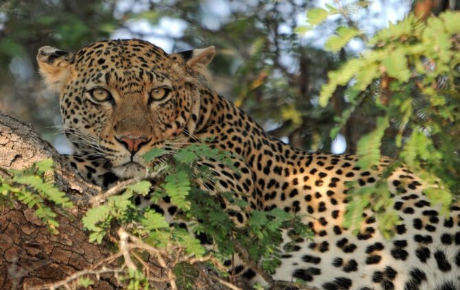 389_Tanzania_2015_groß_1_1028_b_61