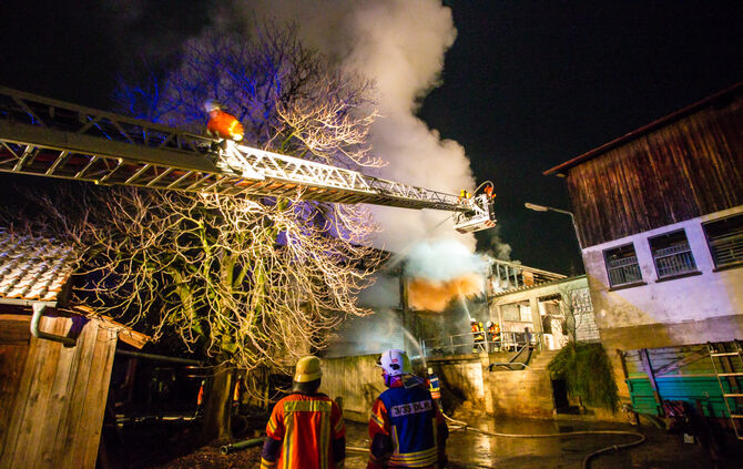 Reithalle bei Brand teilweise zerstört - Bild 13_12